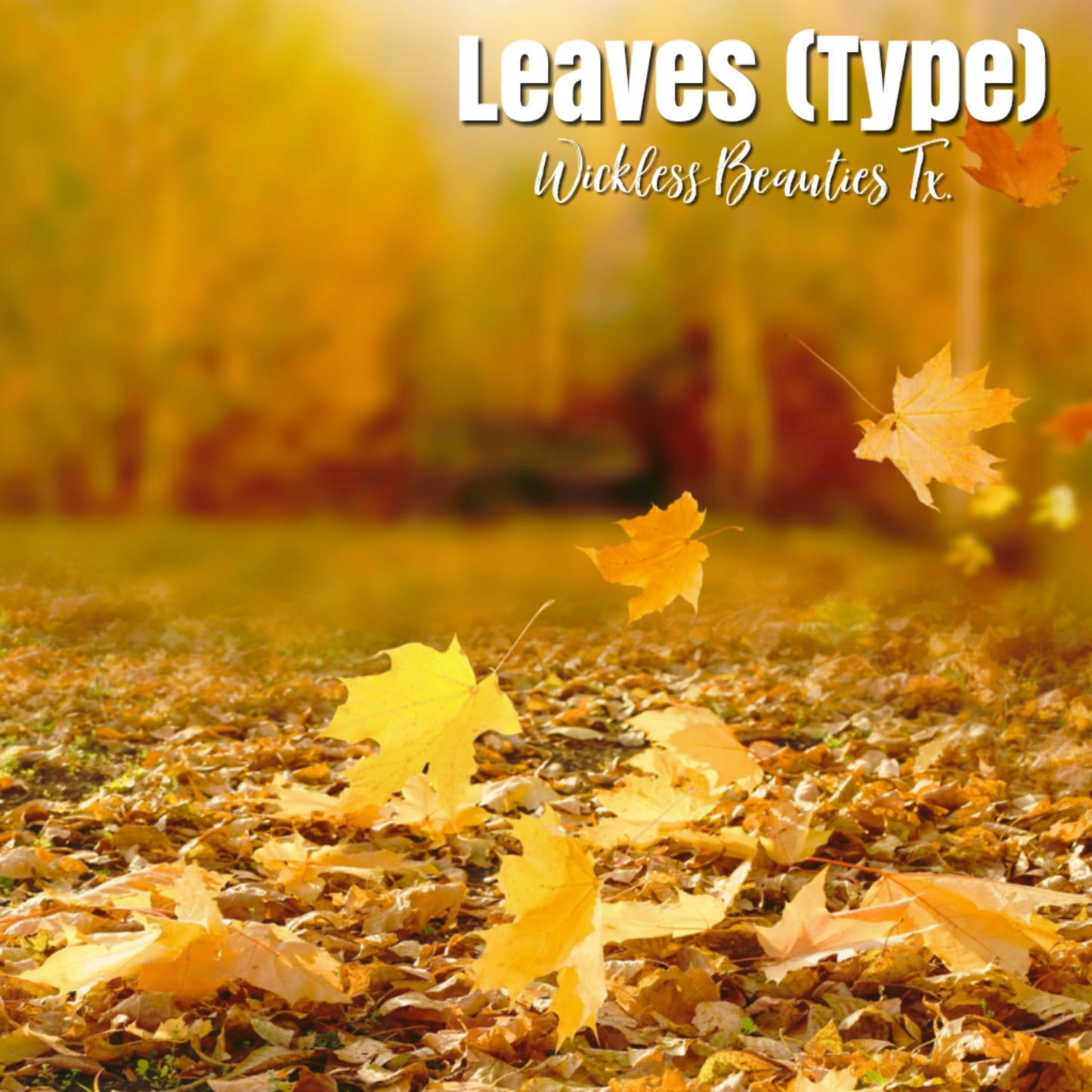 Leaves (Type)