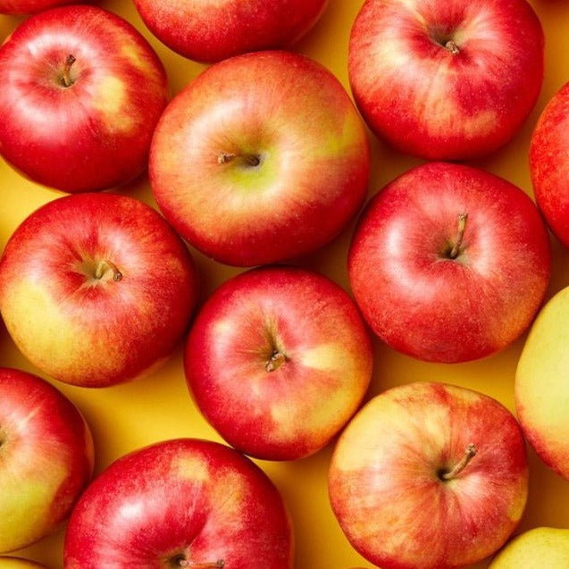 Apple Slices