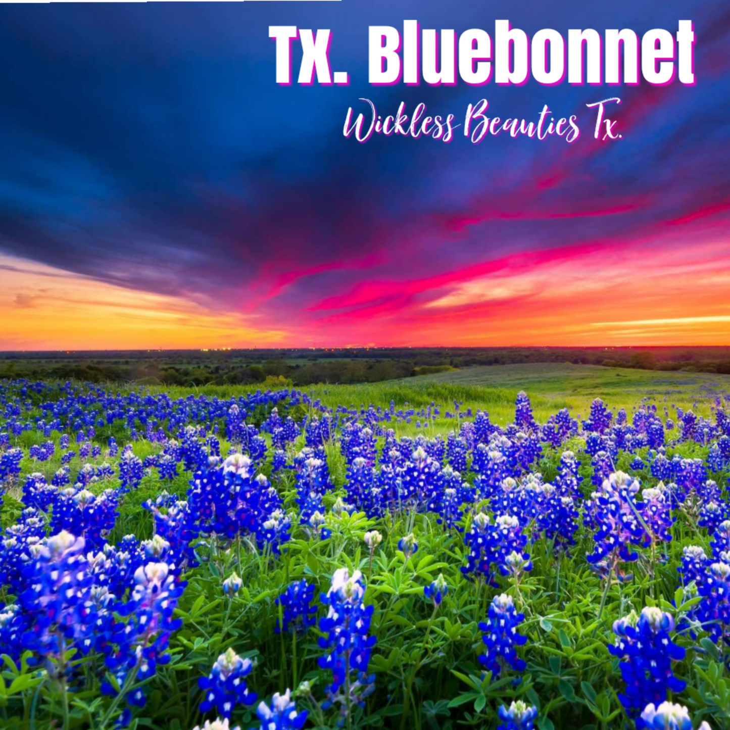 Tx. Bluebonnet