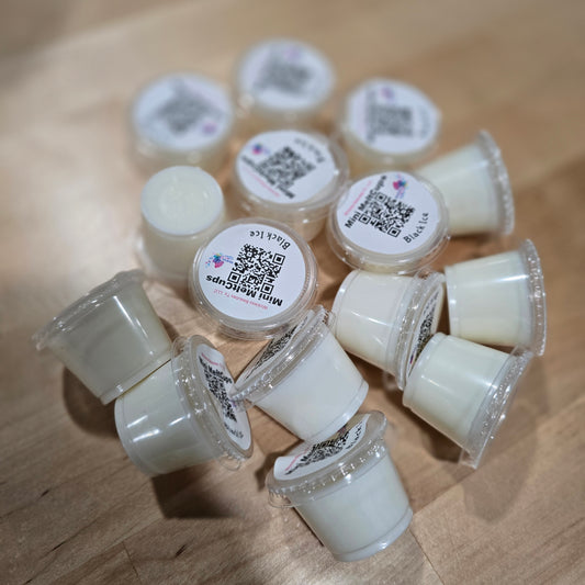 Black Frost/Ice Mini Wax Melts Bundle