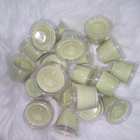 Pine Forest - Mini Wax MeltCups