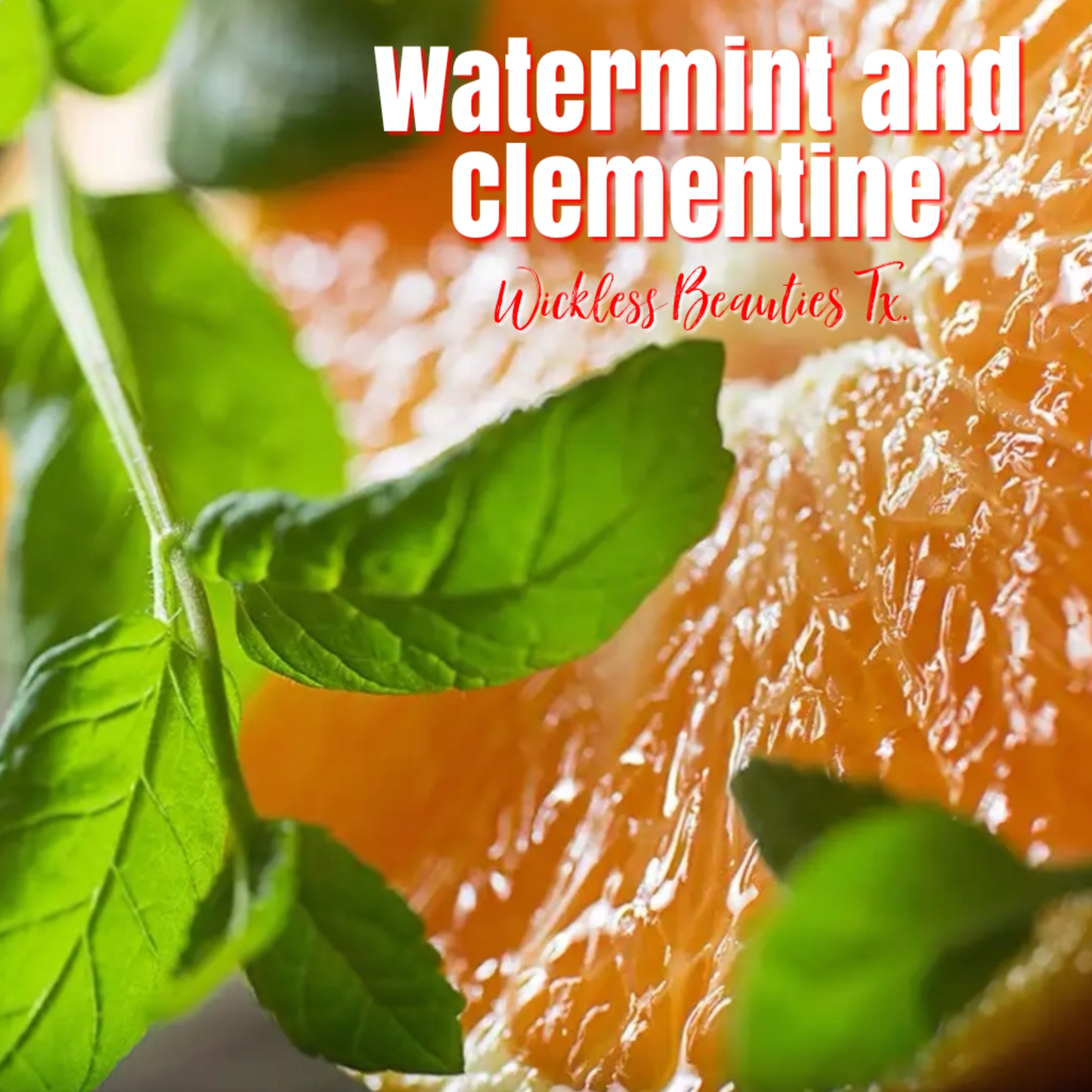 Watermint Watermint and Clementine - Scented Melt & Pour Wax – Wickless Beauties ...