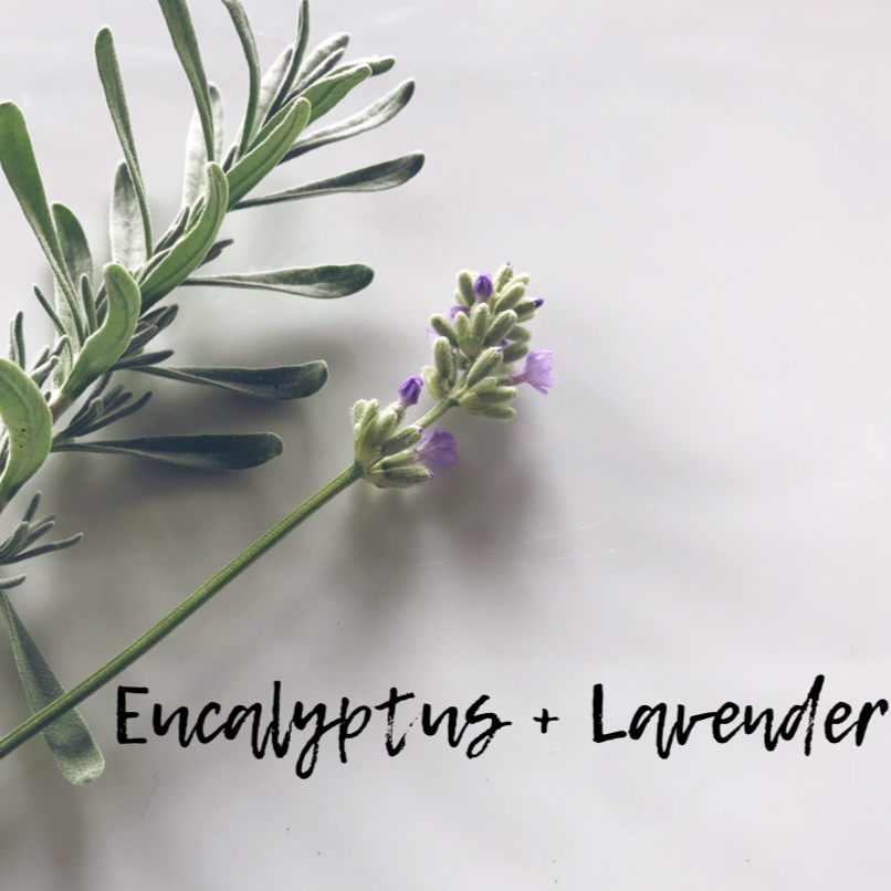 Lavender Eucalyptus - Scented Melt & Pour Wax