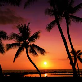 Hawaiian Blast Scented Aroma Beads