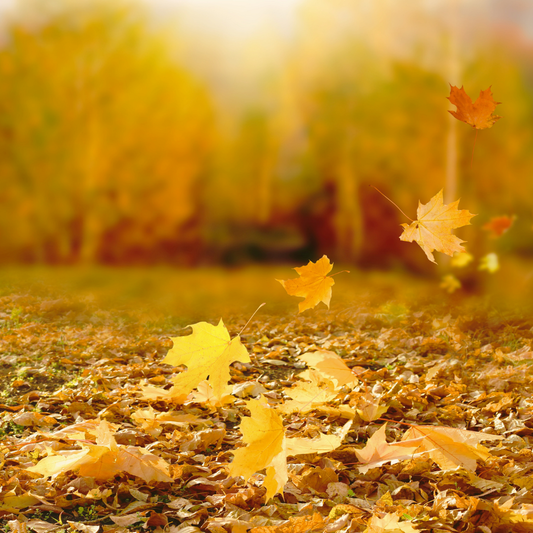 Leaves Scented Melt & Pour Wax 12 oz.
