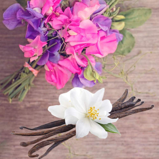 Sweet Pea Vanilla - Mini Wax MeltCups